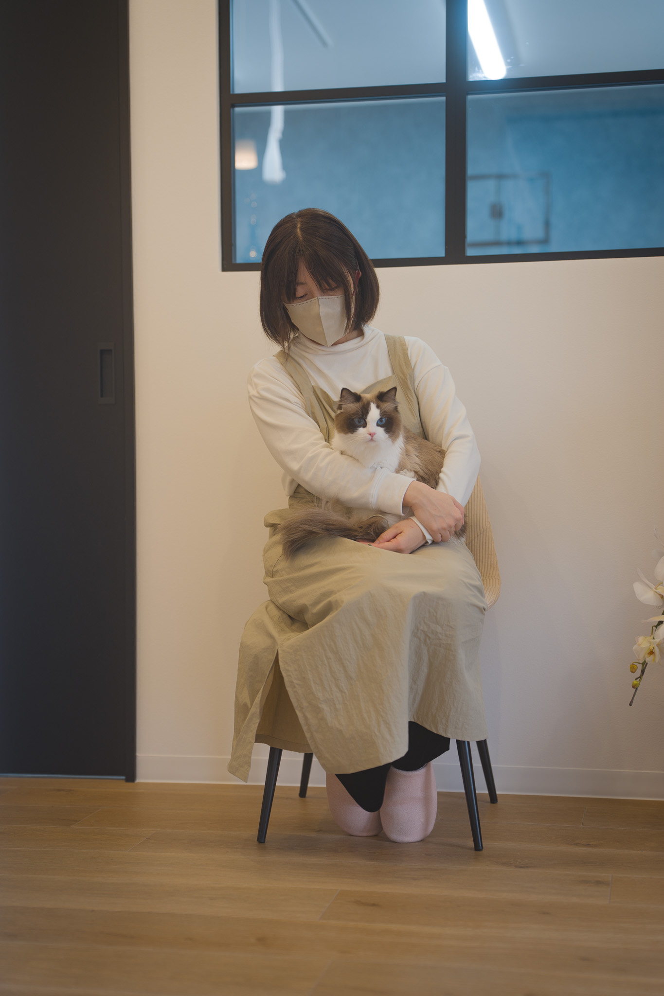 猫ちゃんの「これって大丈夫？」大歓迎