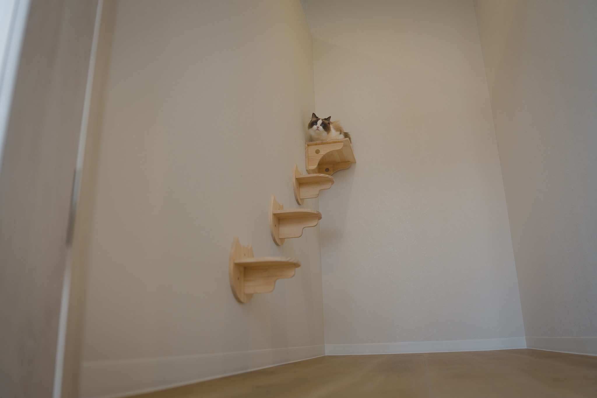 ホテルステイのための広々プライベートルーム