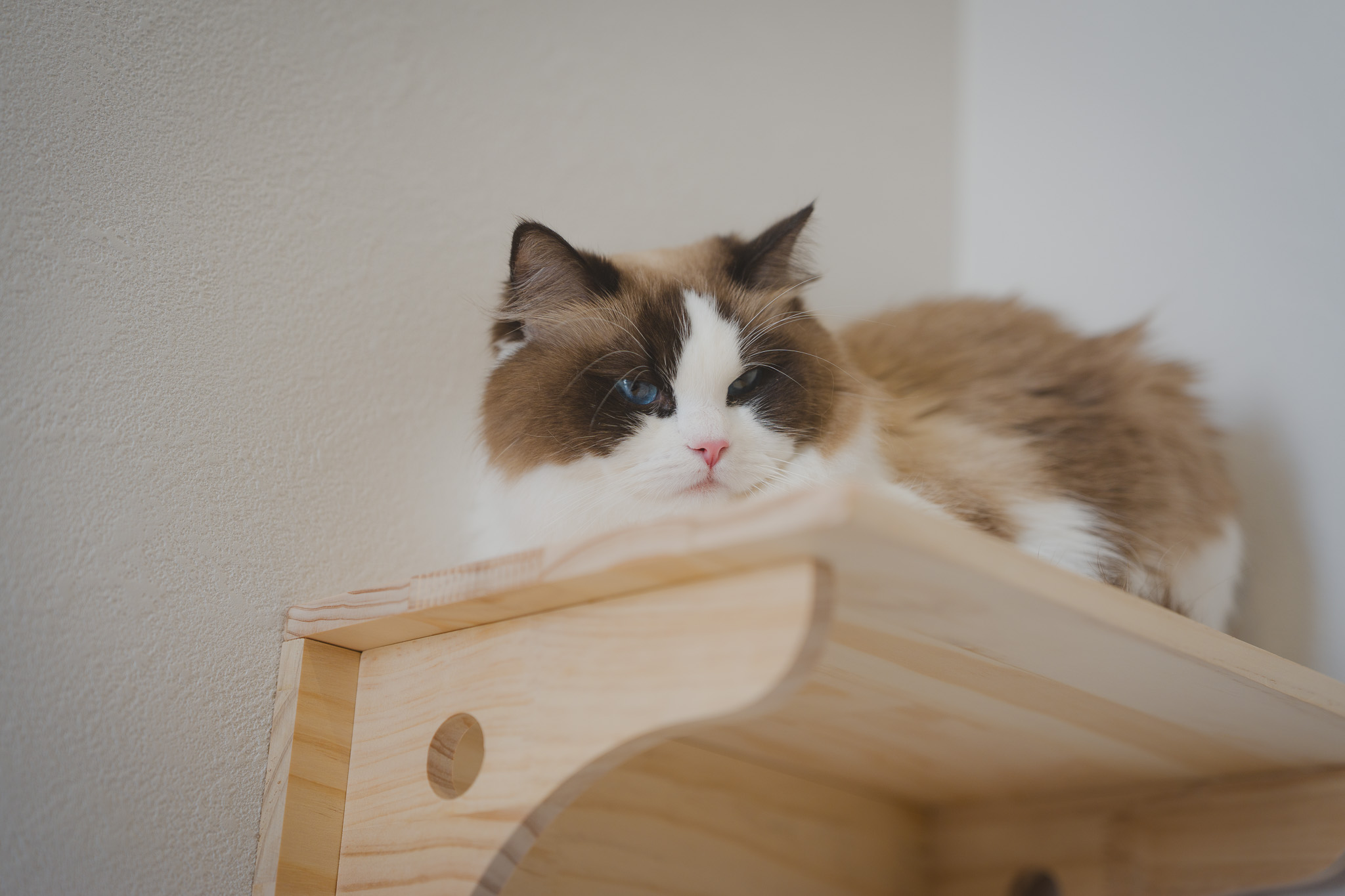 触れない優しさで安心をつくる