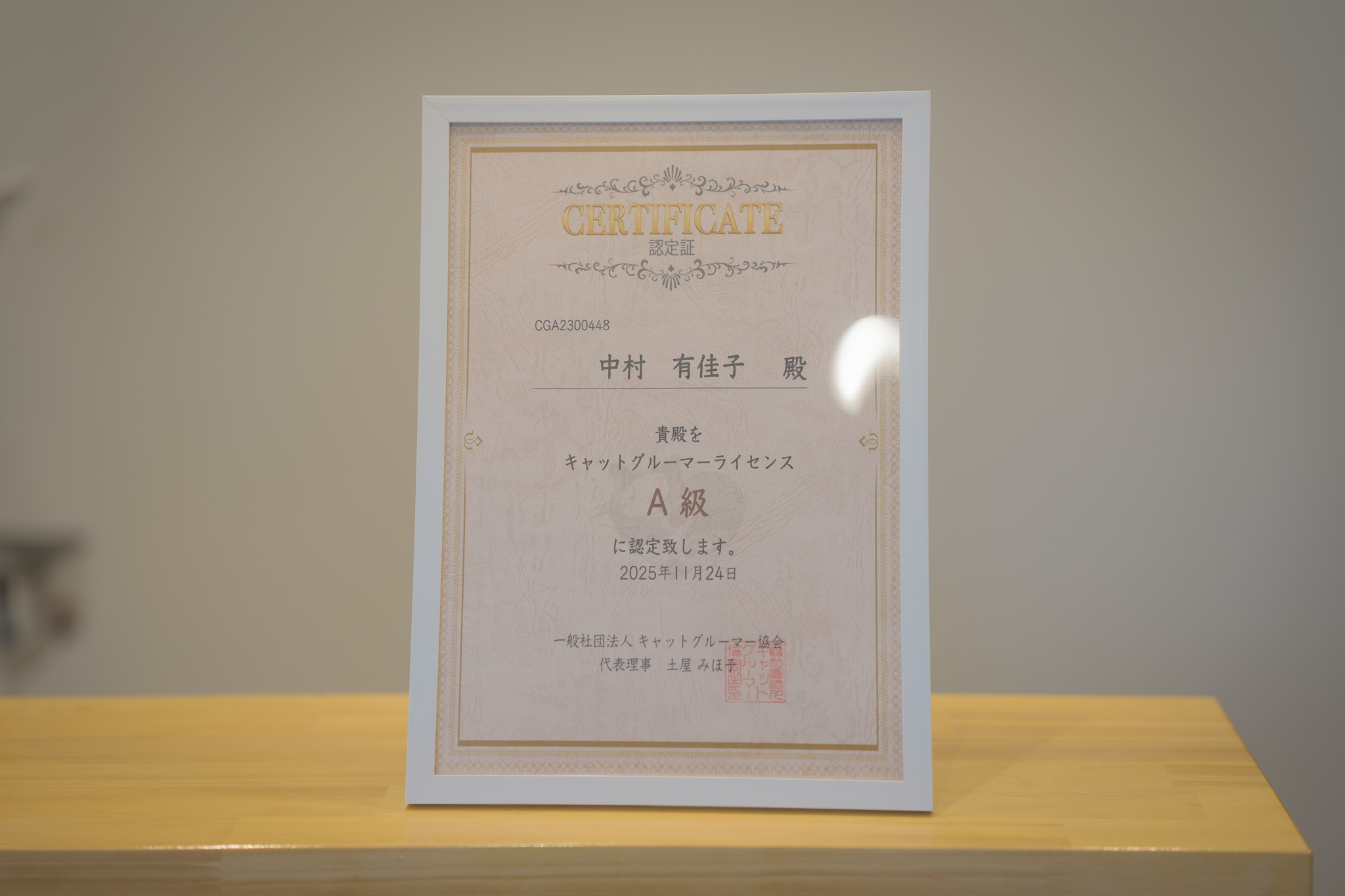 確かな知識と技術で、猫ちゃんを守るケアを