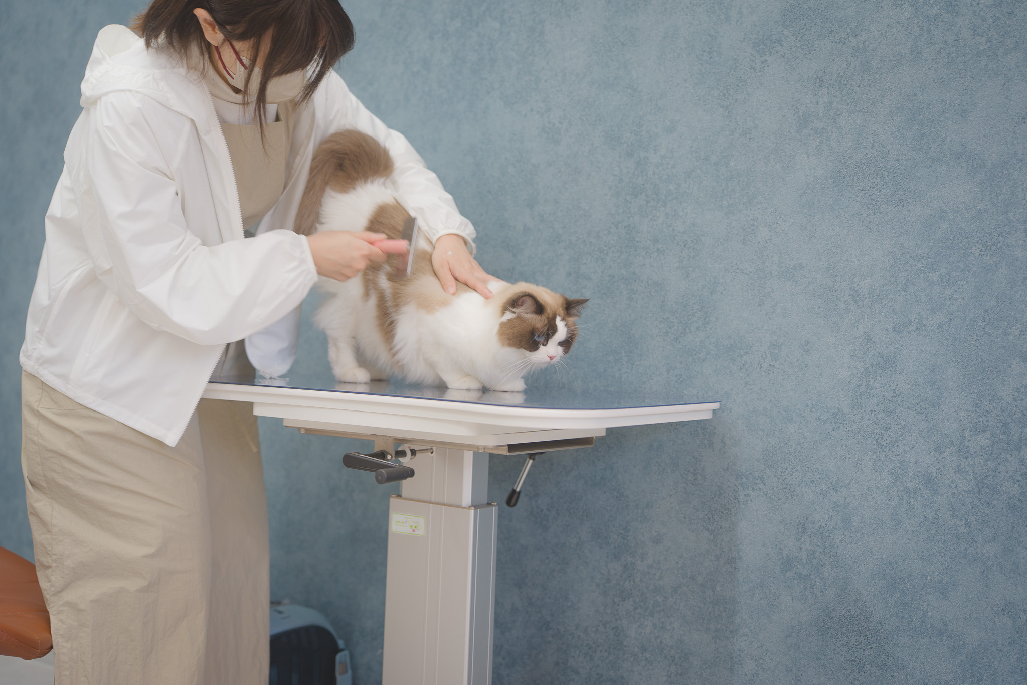 トリミングテーブル？それとも、膝の上？