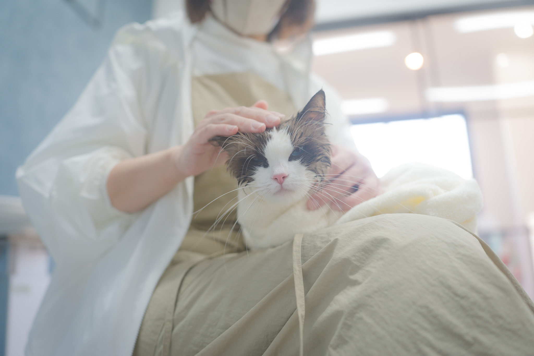 ファーストグルーミング｜RAGMEE